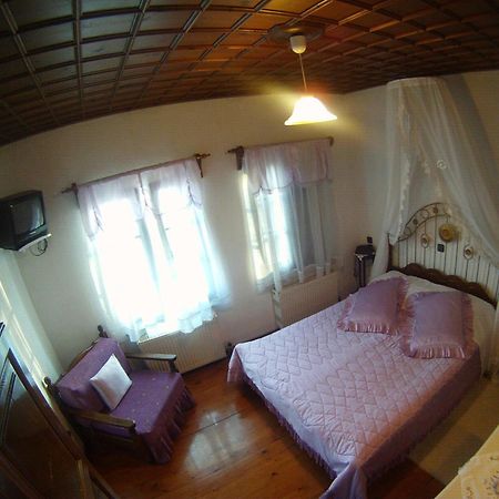 Mansion Theodora Hotel Makrinitsa Luaran gambar
