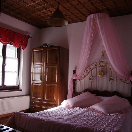 Mansion Theodora Hotel Makrinitsa Luaran gambar