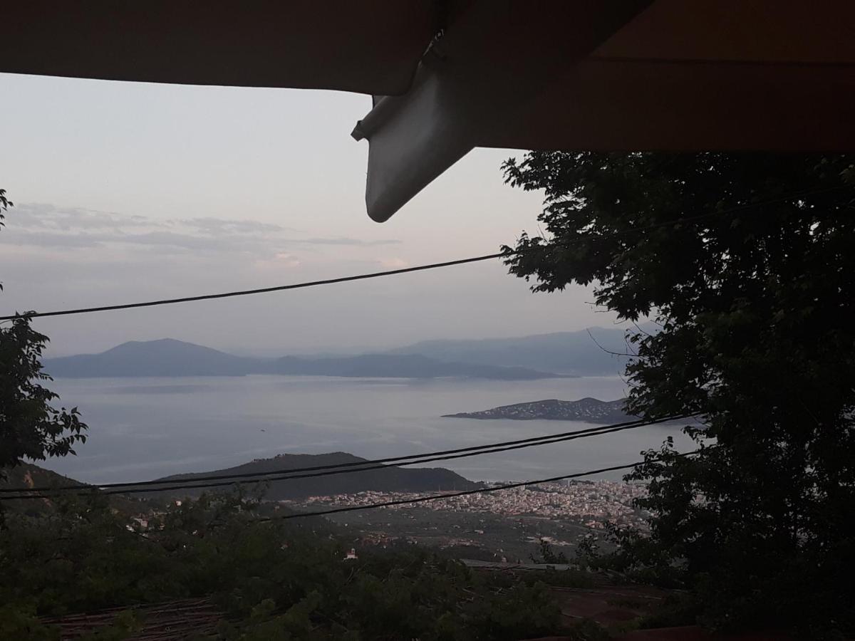 Mansion Theodora Hotel Makrinitsa Luaran gambar