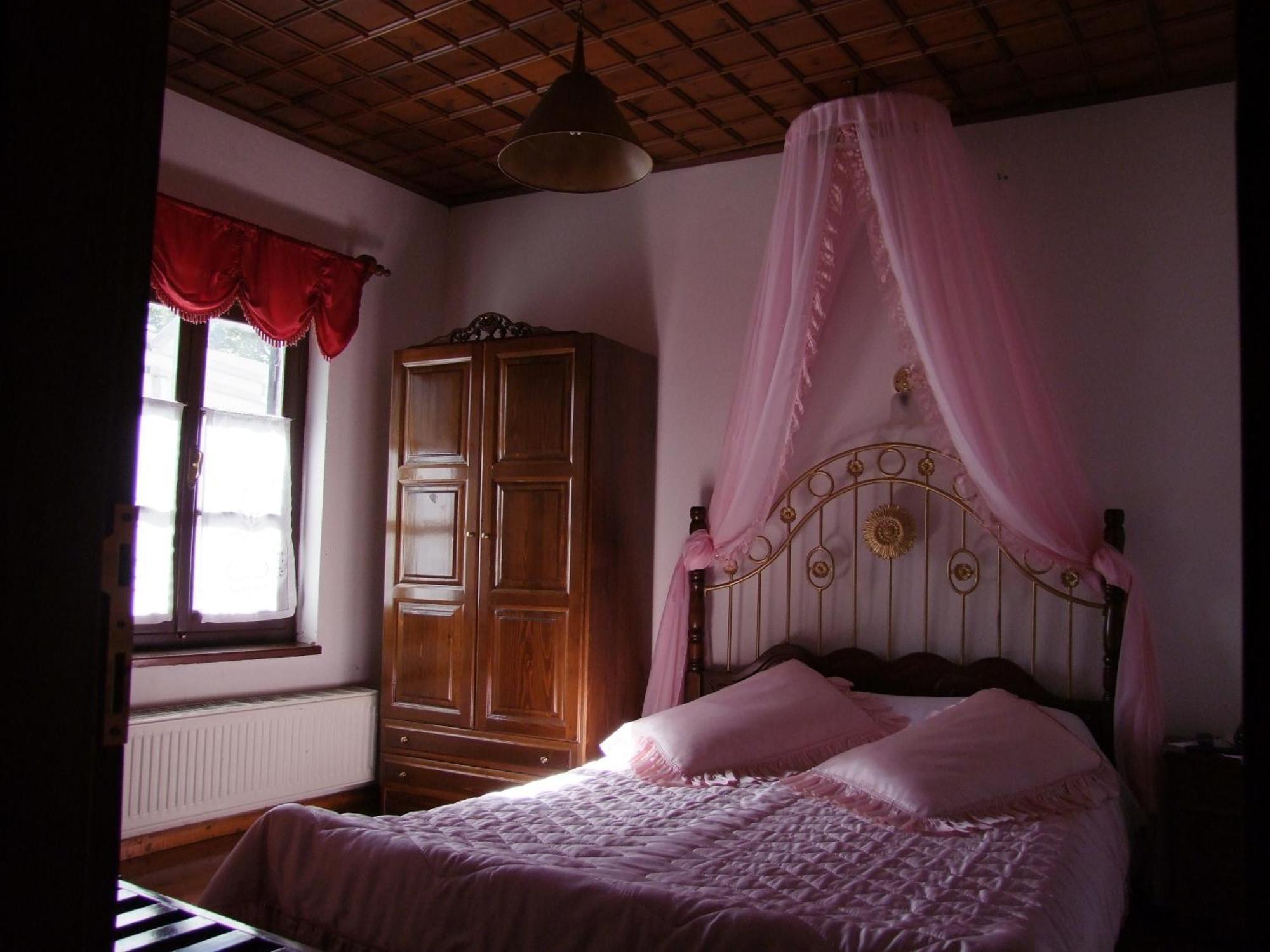 Mansion Theodora Hotel Makrinitsa Luaran gambar