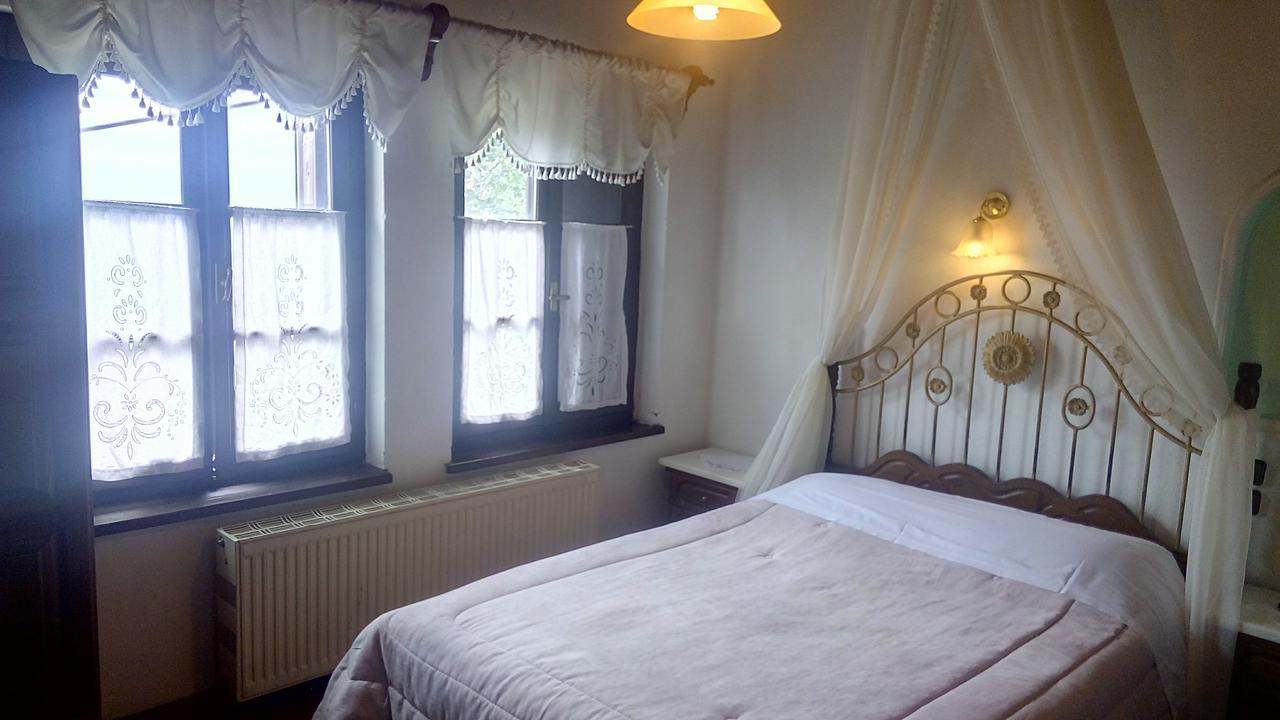 Mansion Theodora Hotel Makrinitsa Luaran gambar