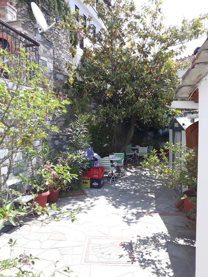 Mansion Theodora Hotel Makrinitsa Luaran gambar