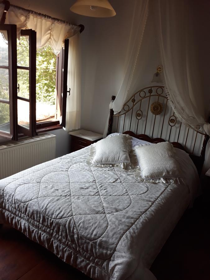 Mansion Theodora Hotel Makrinitsa Luaran gambar