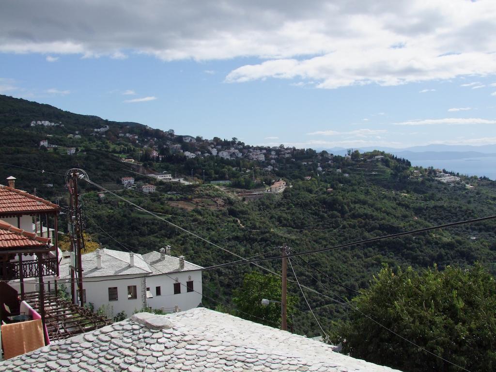 Mansion Theodora Hotel Makrinitsa Luaran gambar