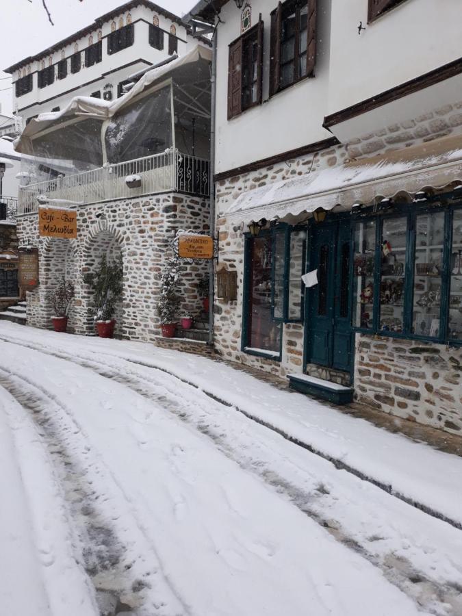 Mansion Theodora Hotel Makrinitsa Luaran gambar